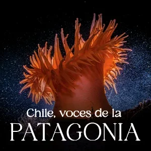 MERI – Chile, voices of Patagonia (spanish)