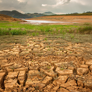 WMO – State of the Climate Update for COP30