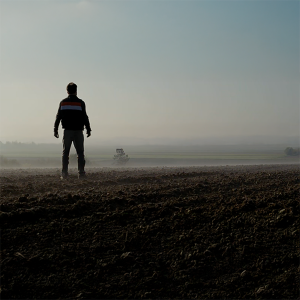 IPCC – A video trailer of Climate Change 2022: Impacts, Adaptation and Vulnerability with Spanish subtitles