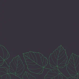 MERI – Towards a model for Effective Conservation and Sustainable Development